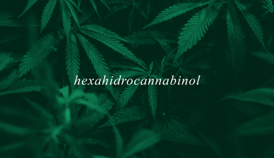 El Nuevo Rostro de los Cannabinoides